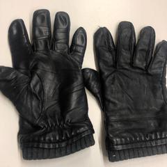 Handschoenen, as reported by GVB using iLost