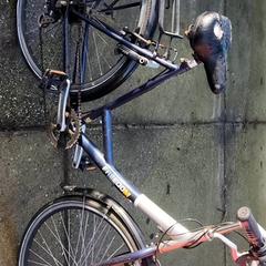 Emakumeen bizikleta Freedom, gisa salatu by Stadswerk072 iLost erabiliz