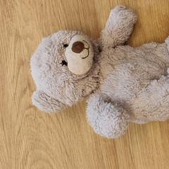 Knuffel, as reported by GVB using iLost