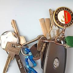 Giltza-giltza, gisa salatu by UMC Utrecht iLost erabiliz