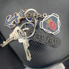 Sleutelbos, ha sido reportado a iLost