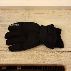 Luvas Zwart, segundo informou DierenPark Amersfoort usando iLost