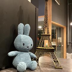 Toy, as reported by MEININGER Hotel Paris Porte de Vincennes using iLost