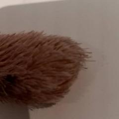 Knuffel, gemeldet von De Efteling über iLost