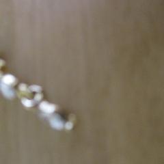 Boucle d'oreille, a été signalé par IKEA Valladolid utilisant iLost