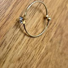 반지 Goudkleurig, iLost를 사용하여 Universiteitsbibliotheek Universiteitskwartier에 보고됨