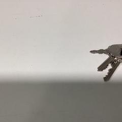 Nycklar - 070326 DLDK, rapporterat av Ziggo Dome med iLost