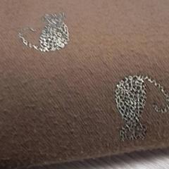 Shawl Bruin, as reported by Qbuzz Fryslân using iLost