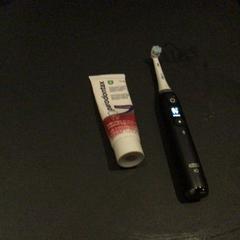 Brosse, a été signalé par Van der Valk Hotel Amsterdam Zuidas utilisant iLost