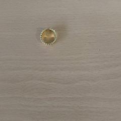 Ring, gemeldet von Centraal magazijn über iLost