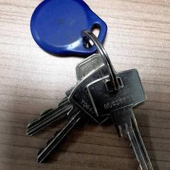 Sleutels, ako bolo nahlásené Transdev Hoeksche Waard Goeree Overflakkee pomocou iLost