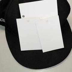 Clothing - Pet, as reported by Regio Antwerpen - Brussel using iLost