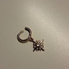 Náušnice, jak nahlášeno Ziekenhuis Oost-Limburg pomocí iLost