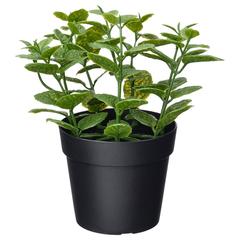 IKEA-produkt, gemeldet von IKEA新三郷 über iLost