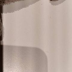 Mysig leksak, rapporterat av De Efteling med iLost