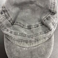 كاسكيت Grijs، كما تم الإبلاغ عنه بواسطة Arriva Vechtdallijnen عبر iLost