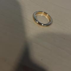 Anell Goud, segons ha informat Jaarbeurs mitjançant iLost