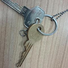 Clave 2 sleutel met sleutelhanger, segundo informou Arriva West-Brabant usando iLost
