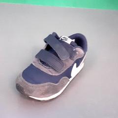 Schoen, amint azt Diergaarde Blijdorp az iLost segítségével jelentette.