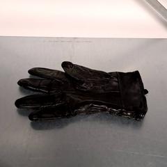 Hanske, som rapportert av Keolis Lund ved bruk av iLost