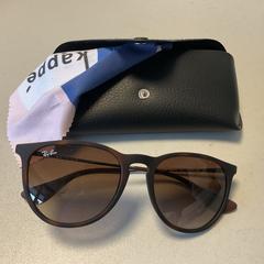 색안경 Bruine glazen, iLost를 사용하여 Breng Arnhem에 보고됨