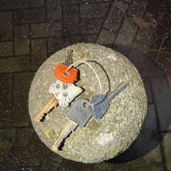 Sleutelbos an iLost gemeldet