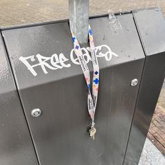 Sleutels aan keucord, como reportado ao iLost