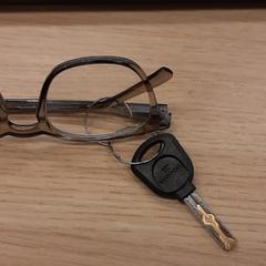 İLost kullanarak Feyenoord Rotterdam tarafından bildirildiği gibi Bril