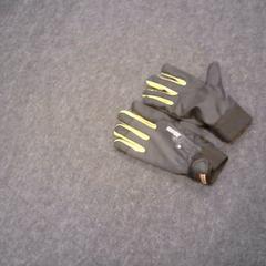 Gloves, as reported by SnowWorld Landgraaf using iLost