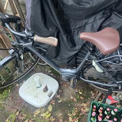 Pegasus Bike, gerapporteerd met iLost