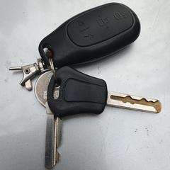 Sleutelbos, come riportato a iLost