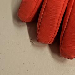 إكسسوارات الملابس، كما تم الإبلاغ عنه بواسطة GVB عبر iLost