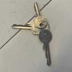 İLost kullanarak GVB tarafından bildirildiği gibi Anahtarlar