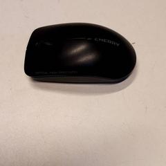 Rato, segundo informou Qbuzz ZHN usando iLost