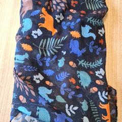 숄, iLost를 사용하여 Qbuzz DMG에 보고됨