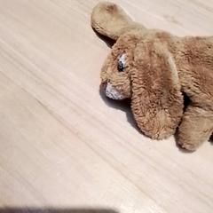 Knuffel, as reported by Beekse Bergen Resorts en Hotel using iLost