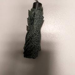 Guarda-chuva, como reportado por Centraal magazijn utilizando o iLost