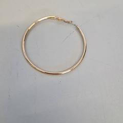 イヤリング がiLostで Transdev Gooi en Vechtstreek によって報告されました