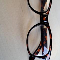 Brille, gemeldet von Connexxion Haarlem IJmond über iLost