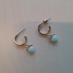 Oorbel, segons ha informat Gemeente Wijk bij Duurstede mitjançant iLost