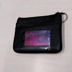 Carteira Njoroge, como reportado por Arriva Limburg Zuid utilizando o iLost