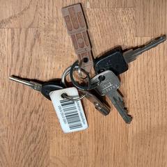 Sleutelbos, gerapporteerd met iLost