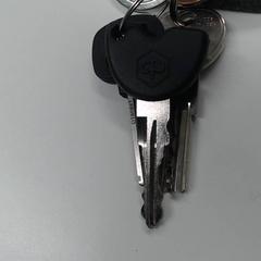 Porte-clés, a été signalé par Walibi Holland utilisant iLost