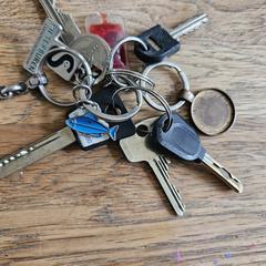 Sleutelbos, iLost에 보고됨