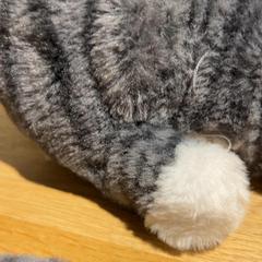 Spielzeug cat toy, gemeldet von Designer Outlet Roermond über iLost