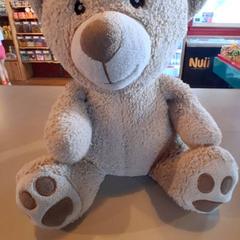 Knuffel Beige/bruin, zoals gemeld door Familiepark Drievliet met iLost