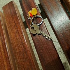 Sleutel met eend sleutelhanger, come riportato a iLost