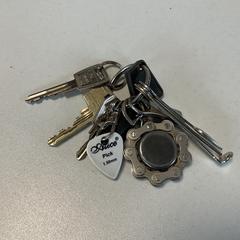 Sleutelbos, zoals gemeld door Breng Arnhem met iLost