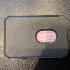 Pasjeshouder Pirard, rapporterat av Johan Cruijff ArenA med iLost