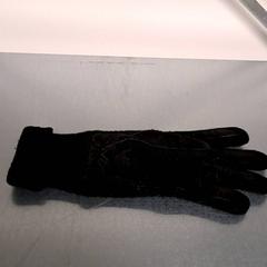 Hanske, som rapportert av Keolis Lund ved bruk av iLost